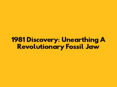 1981 Discovery: Unearthing A Revolutionary Fossil Jaw