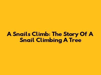 A Snail's Climb: The Story Of A Snail Climbing A Tree