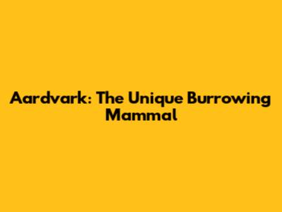 Aardvark: The Unique Burrowing Mammal