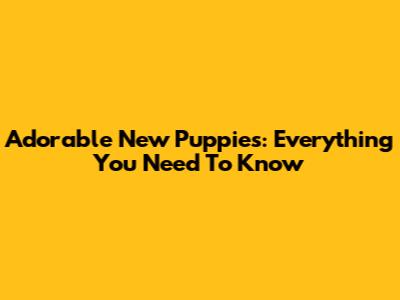 Adorable New Puppies: Everything You Need To Know