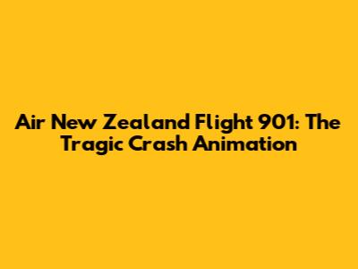 Air New Zealand Flight 901: The Tragic Crash Animation