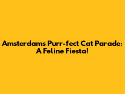 Amsterdam's Purr-fect Cat Parade: A Feline Fiesta!