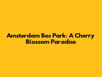 Amsterdam Bos Park: A Cherry Blossom Paradise