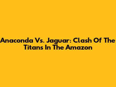 Anaconda Vs. Jaguar: Clash Of The Titans In The Amazon