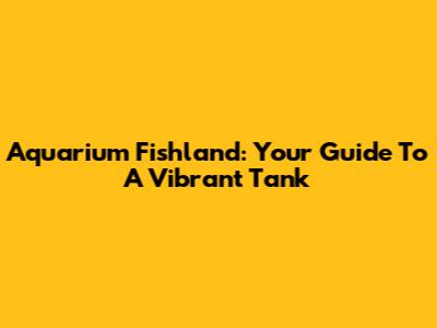 Aquarium Fishland: Your Guide To A Vibrant Tank