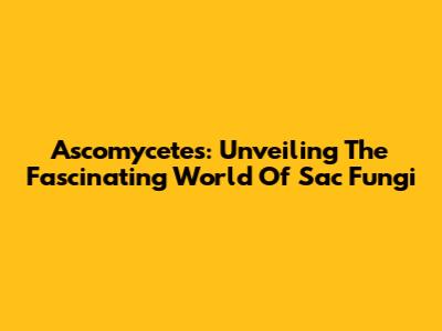 Ascomycetes: Unveiling The Fascinating World Of Sac Fungi