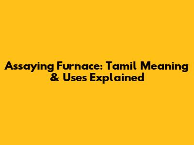 Assaying Furnace: Tamil Meaning & Uses Explained