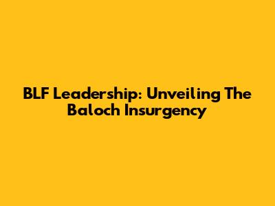 BLF Leadership: Unveiling The Baloch Insurgency
