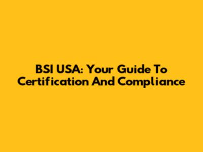 BSI USA: Your Guide To Certification And Compliance