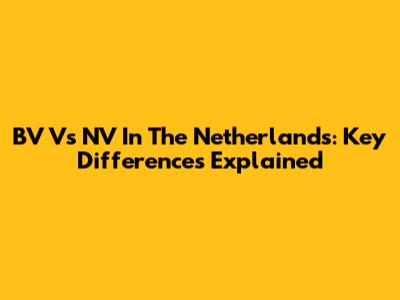 BV Vs NV In The Netherlands: Key Differences Explained