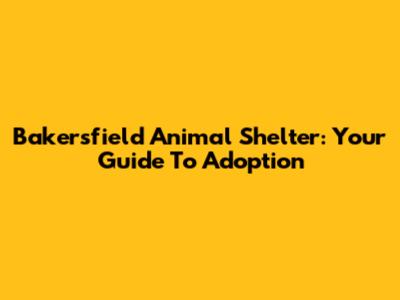 Bakersfield Animal Shelter: Your Guide To Adoption