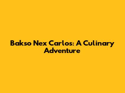 Bakso Nex Carlos: A Culinary Adventure