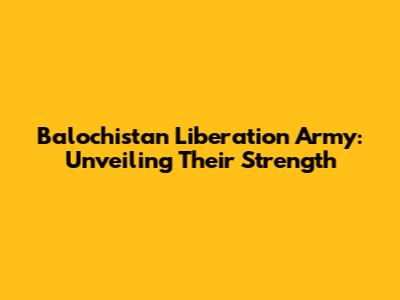 Balochistan Liberation Army: Unveiling Their Strength