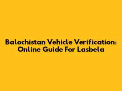 Balochistan Vehicle Verification: Online Guide For Lasbela
