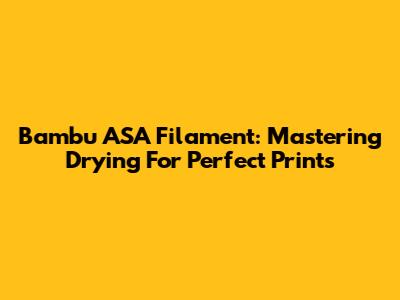 Bambu ASA Filament: Mastering Drying For Perfect Prints