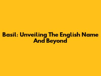 Basil: Unveiling The English Name And Beyond
