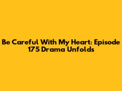 Be Careful With My Heart: Episode 175 Drama Unfolds