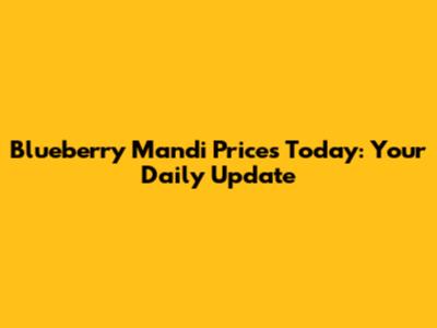 Blueberry Mandi Prices Today: Your Daily Update
