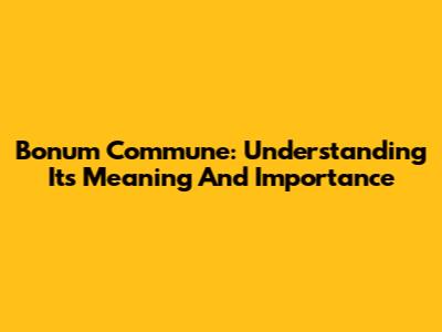 Bonum Commune: Understanding Its Meaning And Importance