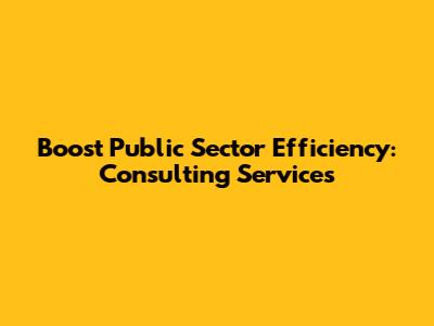 Boost Public Sector Efficiency: Consulting Services