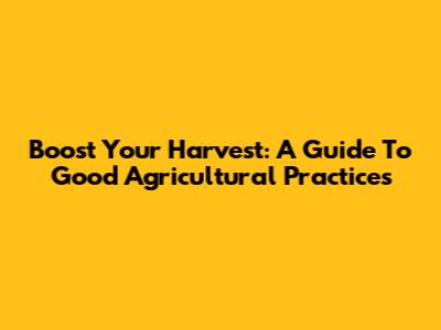 Boost Your Harvest: A Guide To Good Agricultural Practices