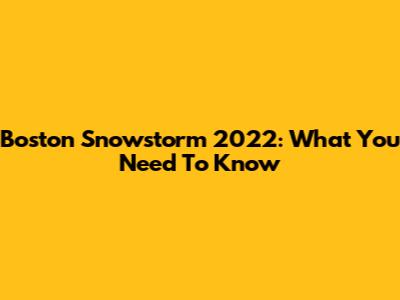 Boston Snowstorm 2022: What You Need To Know