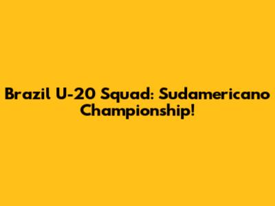 Brazil U-20 Squad: Sudamericano Championship!