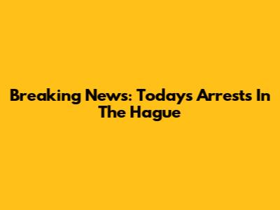 Breaking News: Today's Arrests In The Hague