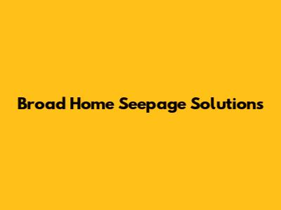 Broad Home Seepage Solutions