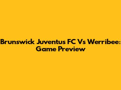 Brunswick Juventus FC Vs Werribee: Game Preview