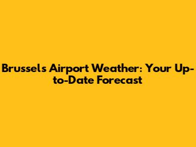 Brussels Airport Weather: Your Up-to-Date Forecast