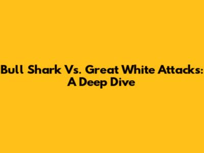 Bull Shark Vs. Great White Attacks: A Deep Dive