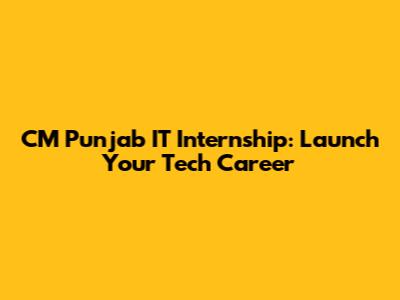 CM Punjab IT Internship: Launch Your Tech Career
