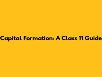 Capital Formation: A Class 11 Guide