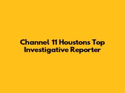 Channel 11 Houston's Top Investigative Reporter