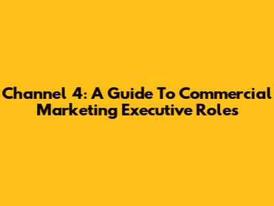 Channel 4: A Guide To Commercial Marketing Executive Roles