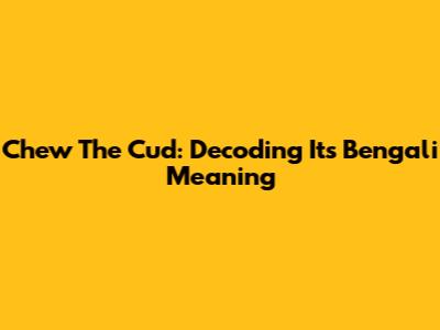 Chew The Cud: Decoding Its Bengali Meaning