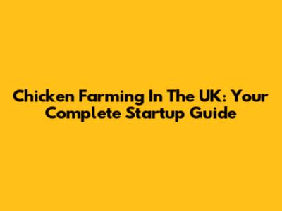 Chicken Farming In The UK: Your Complete Startup Guide