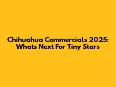 Chihuahua Commercials 2025: What's Next For Tiny Stars