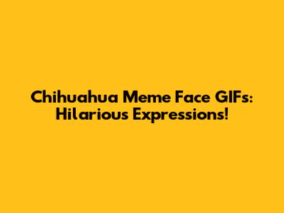 Chihuahua Meme Face GIFs: Hilarious Expressions!