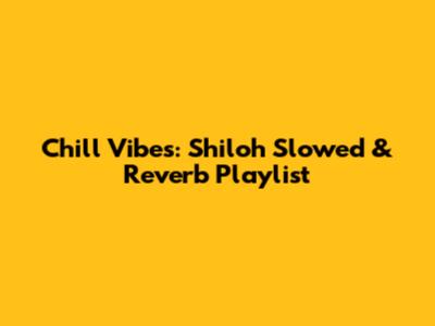 Chill Vibes: Shiloh Slowed & Reverb Playlist