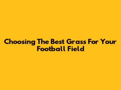 Choosing The Best Grass For Your Football Field