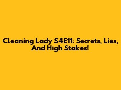 Cleaning Lady S4E11: Secrets, Lies, And High Stakes!