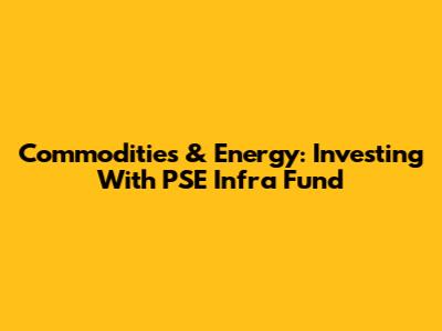 Commodities & Energy: Investing With PSE Infra Fund