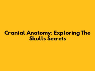 Cranial Anatomy: Exploring The Skull's Secrets