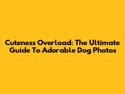 Cuteness Overload: The Ultimate Guide To Adorable Dog Photos