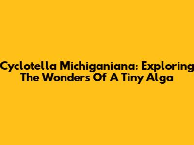 Cyclotella Michiganiana: Exploring The Wonders Of A Tiny Alga