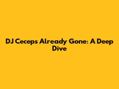 DJ Cecep's 'Already Gone': A Deep Dive