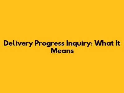 Delivery Progress Inquiry: What It Means
