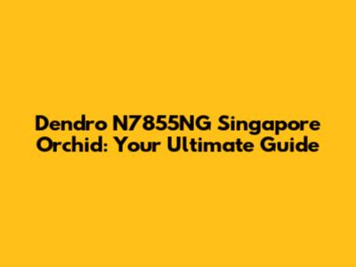 Dendro N7855NG Singapore Orchid: Your Ultimate Guide